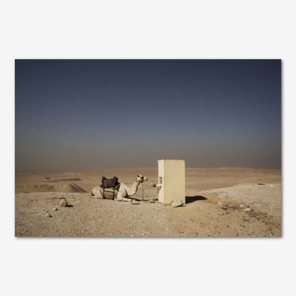 Vagtposten i Sahara. Foto Tine Harden.